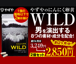 にんにく卵黄WILD（2個セット初回2850円定期）