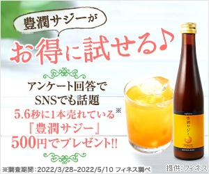 豊潤サジー（500円モニター）